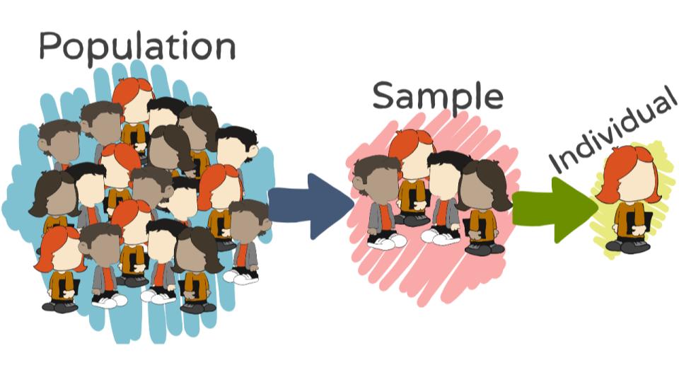 Illustration showing population and sample relationship