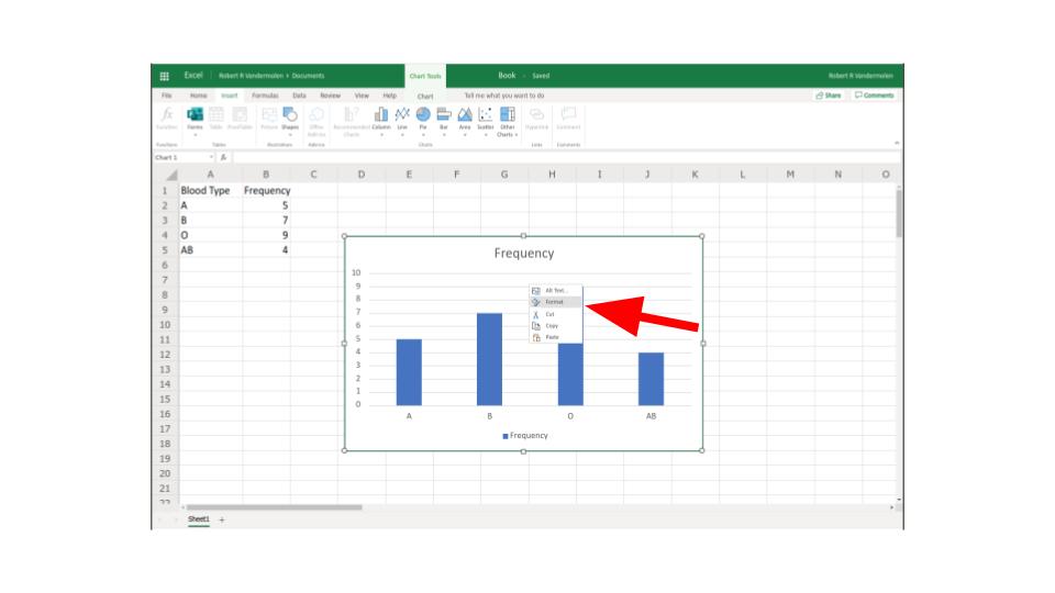 Excel Histogram example step 5